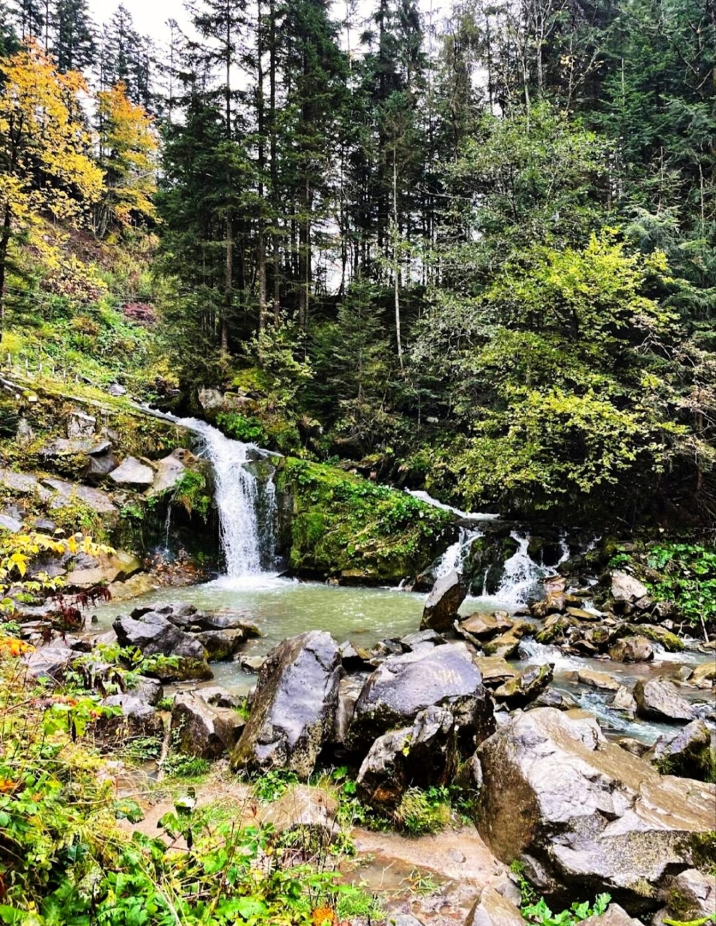 Водоспад у карпатському лісі неподалік